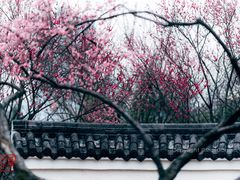 -重庆彩云湖湿地公园