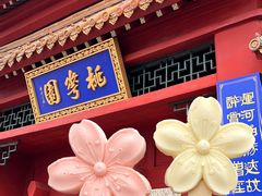 -桃花堤公园