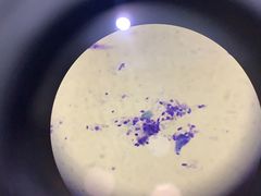 -佳雯宠物医院(金华南路分院)