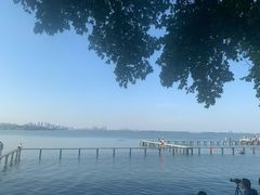 -武汉大学-樱园
