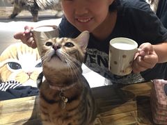 -小时光咖啡馆(开森度假森林店)