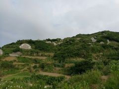 -枸杞岛