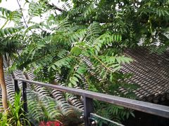 -SUSU·苏苏(四合院创始店)
