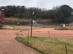 -济州森林小火车生态公园