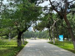 -沈阳中山公园