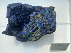 -延庆地质公园博物馆