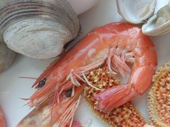 -视界美食自助餐厅·石家庄希尔顿酒店