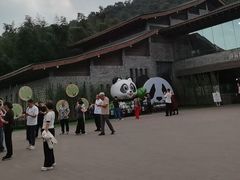 -都江堰中华大熊猫苑
