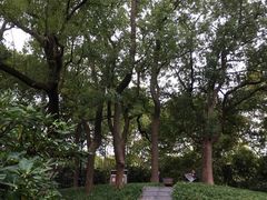 -徐家汇源景区-衡山公园