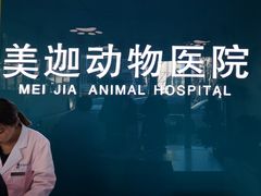 -美迦爱-牙专科·兔科·骨科诊疗中心(北苑店)