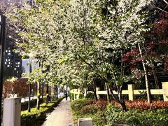 -北外滩滨江绿地