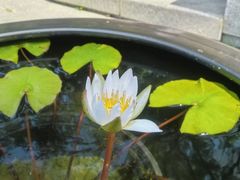 -云溪植物园