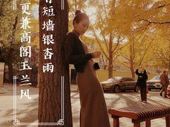-三里屯东五街银杏大道