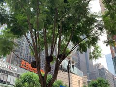 -八一路好吃街(雨田商务大厦店)