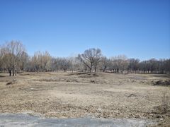 -东郊湿地公园