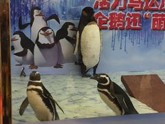 -活力城购物中心
