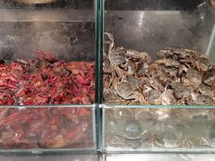 -青岛证大喜玛拉雅酒店·Z1餐厅