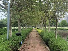 -琅岐红光湖公园