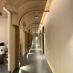 -Boss H Beauty美肌中心