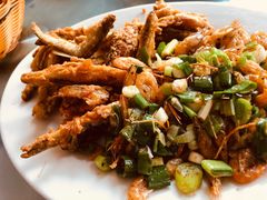 -中原农家乐(中原饭店)