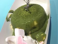 -狐狸和向日葵(北京路店)