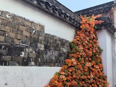 -青果巷历史文化街区