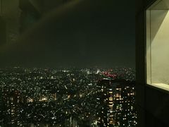 -东京都厅舍