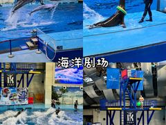-合肥海洋世界