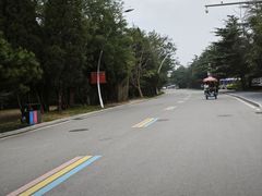 -日照海滨国家森林公园