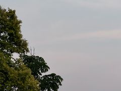 -长春奥林匹克公园