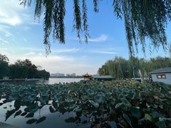 -济南大明湖景区