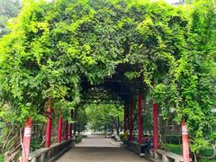 -陕西师范大学(雁塔校区)