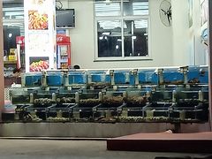 -烁佳海鲜大馅饺子