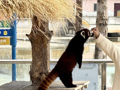 -水上乐园·欢乐世界