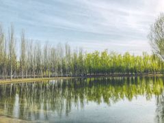 -东郊湿地公园