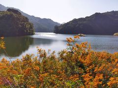 -广州市石门国家森林公园