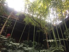 -西安国际创新人才交流中心•药浴温泉