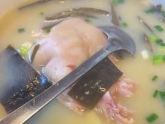-中和裴氏蹄花(府河路店)