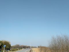 -贡湖湾湿地公园