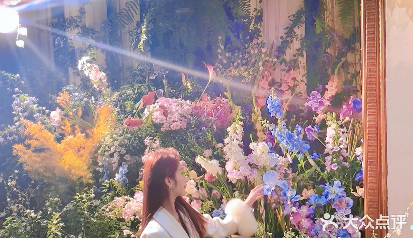 [加油]天呐‼️这简直是爱丽丝梦游仙境