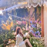 [加油]天呐‼️这简直是爱丽丝梦游仙境