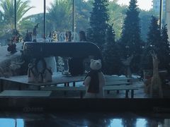 -希尔顿南海酒店·观廊大堂吧·海景下午茶