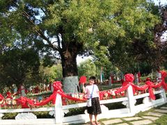 -董永七仙女文化园