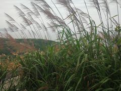 -六合朝阳景区-和尚套