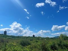 -永定河休闲森林公园