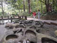-成都市活水公园