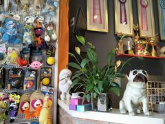 -我爱吾宠宠物美容院(朝阳路店)
