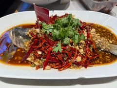 -杨氏青龙虾·羊蝎子(托乐嘉店)