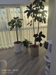 -HEYAN荷妍专业脱毛连锁机构