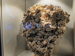 -甘肃地质博物馆